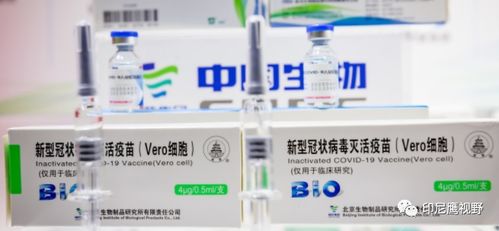 印尼疫情与签证严查并举 单日新增5千例，病毒变种引发关注，移民局突击检查工厂签证问题